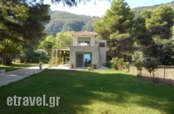 Brunello Seaside Apartments in Tinos Chora, Tinos, Cyclades Islands