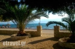 Finikas in Paros Chora, Paros, Cyclades Islands