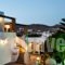 Irini Studios In Tinos_accommodation_in_Hotel_Cyclades Islands_Tinos_Tinosora