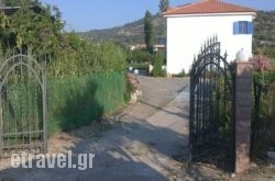 Elpis in Anaxos, Lesvos, Aegean Islands