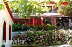 Studios Rania in Paros Chora, Paros, Cyclades Islands