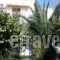 Sissy Hotel_holidays_in_Hotel_Piraeus islands - Trizonia_Aigina_Aigina Rest Areas
