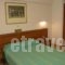 Emily Hotel_best deals_Hotel_Aegean Islands_Samos_Samosst Areas