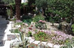 Tilemachos Studios in Palaeochora, Chania, Crete