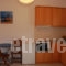 Vrisiana studios_accommodation_in_Room_Cyclades Islands_Sifnos_Sifnosora