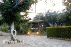 Dimitra Family Hotel in Malia, Heraklion, Crete