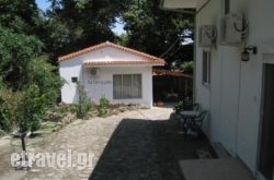 Studios La Kastania in Naxos Chora, Naxos, Cyclades Islands