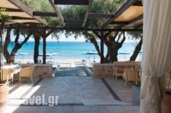 Elvita beach hotel in Ano Volos , Magnesia, Thessaly