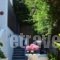 Koralli Studios_best deals_Hotel_Cyclades Islands_Kea_Korisia