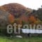 Agios Germanos Traditional Hotel_best deals_Hotel_Macedonia_Florina_Agios Germanos