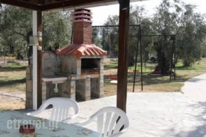 Xanthoula Studios_travel_packages_in_Aegean Islands_Thasos_Thasos Chora