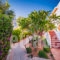 Angela Studios_lowest prices_in_Room_Dodekanessos Islands_Rhodes_Pefki
