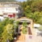 Pegasos_accommodation_in_Hotel_Ionian Islands_Lefkada_Nikiana
