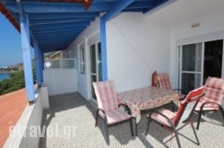 Irini Apartments & Studios in Andros Chora, Andros, Cyclades Islands