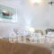 La Terrasse_holidays_in_Room_Cyclades Islands_Mykonos_Psarou
