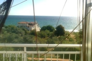 House Mantesos_holidays_in_Hotel_Aegean Islands_Thassos_Kinyra