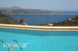 Aptera Paradise in Agios Prokopios, Naxos, Cyclades Islands