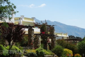 Ktima Nikola_best prices_in_Room_Central Greece_Evia_Leykanti