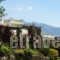 Ktima Nikola_best prices_in_Room_Central Greece_Evia_Leykanti