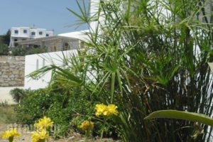 Studios Parian Blu_lowest prices_in_Hotel_Cyclades Islands_Antiparos_Antiparos Chora