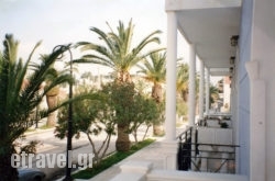 Blue Paradise Studios in Paros Chora, Paros, Cyclades Islands
