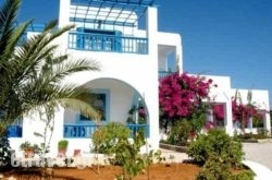 Sunflower studios in Kissamos, Chania, Crete