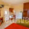 Studios Konstantina_best deals_Room_Epirus_Preveza_Lygia