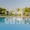 Platanista Hotel_lowest prices_in_Hotel_Dodekanessos Islands_Kos_Kos Chora