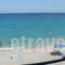 Pension Giannis Perris_travel_packages_in_Aegean Islands_Samos_Samos Rest Areas