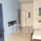 Alexiou Apartments Blue_best deals_Room_Crete_Rethymnon_Rethymnon City