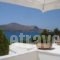 Smalis Studios_holidays_in_Hotel_Dodekanessos Islands_Leros_Leros Chora