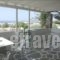 Villa Paros_accommodation_in_Villa_Cyclades Islands_Paros_Paros Rest Areas