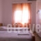 Sperdouli Eleni Rooms_accommodation_in_Room_Aegean Islands_Limnos_Limnos Rest Areas