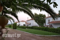 Carpe Diem in Papiggo , Ioannina, Epirus