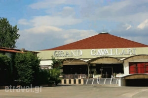 Cavallari Palace_accommodation_in_Hotel_Central Greece_Attica_Acharnes (Menidi)