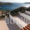 Studios Rena_accommodation_in_Hotel_Aegean Islands_Fourni_Fourni Rest Areas