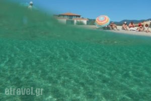 Big Dino'S Galini_holidays_in_Hotel_Macedonia_Thessaloniki_Thessaloniki City