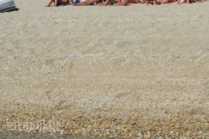 Big Dino'S Galini_lowest prices_in_Hotel_Macedonia_Thessaloniki_Thessaloniki City