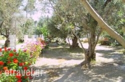 Thendraki Apartments in Platanias, Chania, Crete