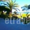 Studios Stefani_lowest prices_in_Hotel_Aegean Islands_Lesvos_Petra