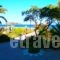 Studios Stefani_best deals_Hotel_Aegean Islands_Lesvos_Petra