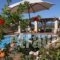 Villas Armeno_best prices_in_Villa_Ionian Islands_Lefkada_Lefkada's t Areas