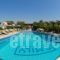 Emily Villas_accommodation_in_Villa_Ionian Islands_Kefalonia_Vlachata