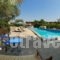 Emily Villas_best prices_in_Villa_Ionian Islands_Kefalonia_Vlachata