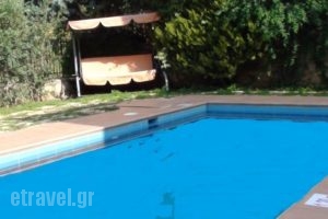 Villa Phaedra_holidays_in_Villa_Crete_Rethymnon_Rethymnon City