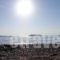 Niki Studios Sea - Front_best deals_Hotel_Aegean Islands_Lesvos_Petra