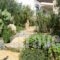 Alkionides Villas_best deals_Villa_Crete_Lasithi_Sitia