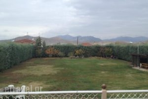 Guesthouse Egli_holidays_in_Hotel_Macedonia_Kozani_Siatista